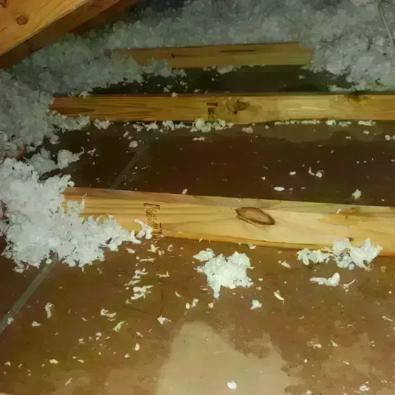 Attic Water Damage in North Granby, CT